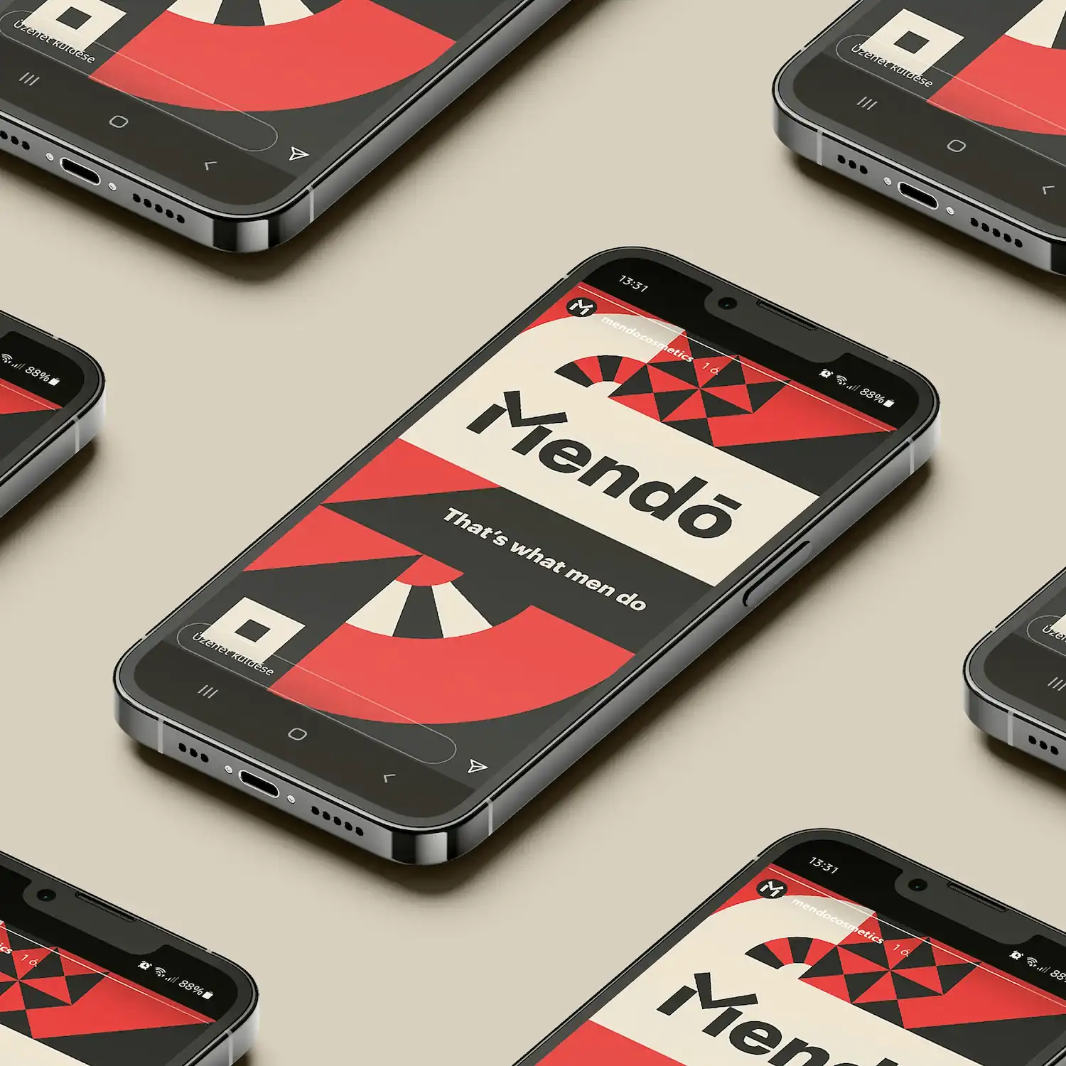 Bakonyi Kitti hallgatói munkája a Hollóka Grafikus Képzésről