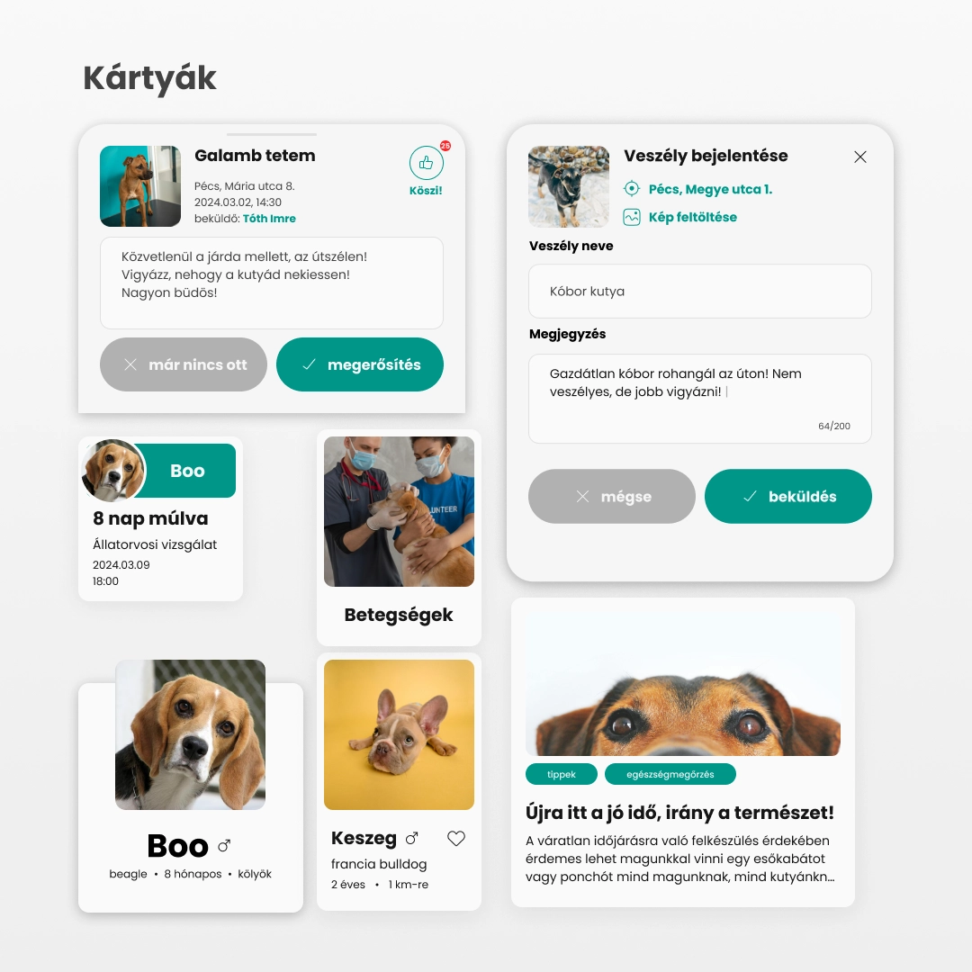 Pintér Noémi applikációterve a UX/UI Képzésről