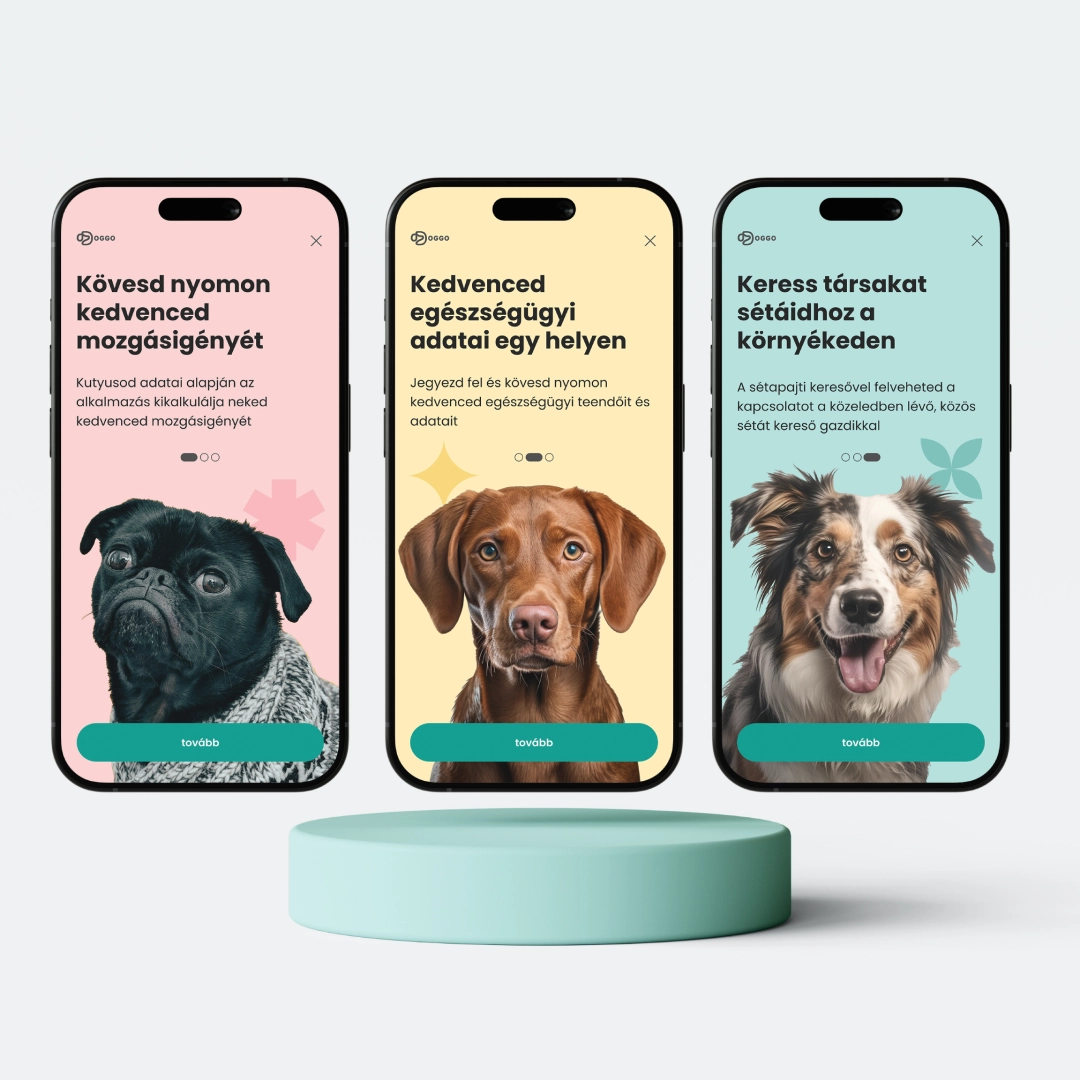 UX/UI Designer Képzés