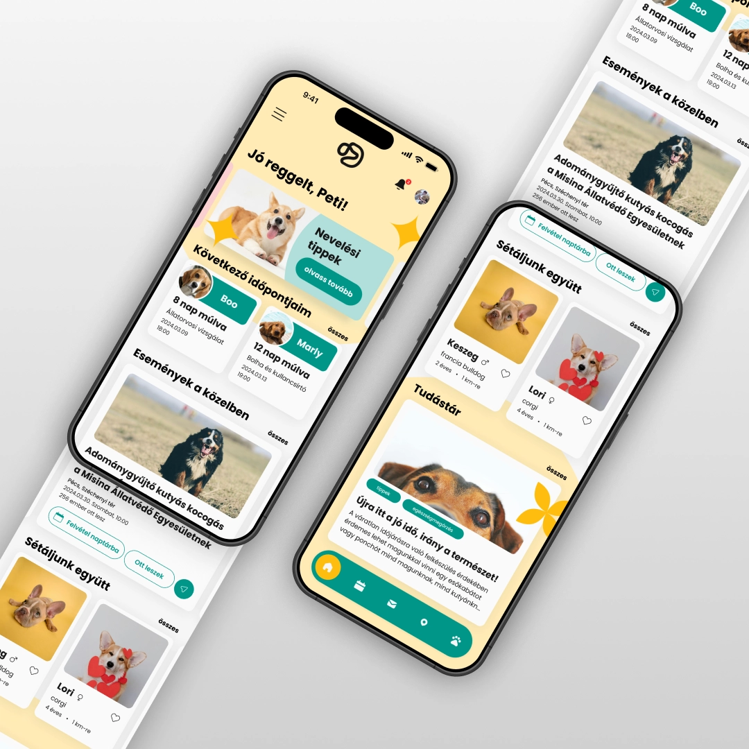 Pintér Noémi applikációterve a UX/UI Képzésről