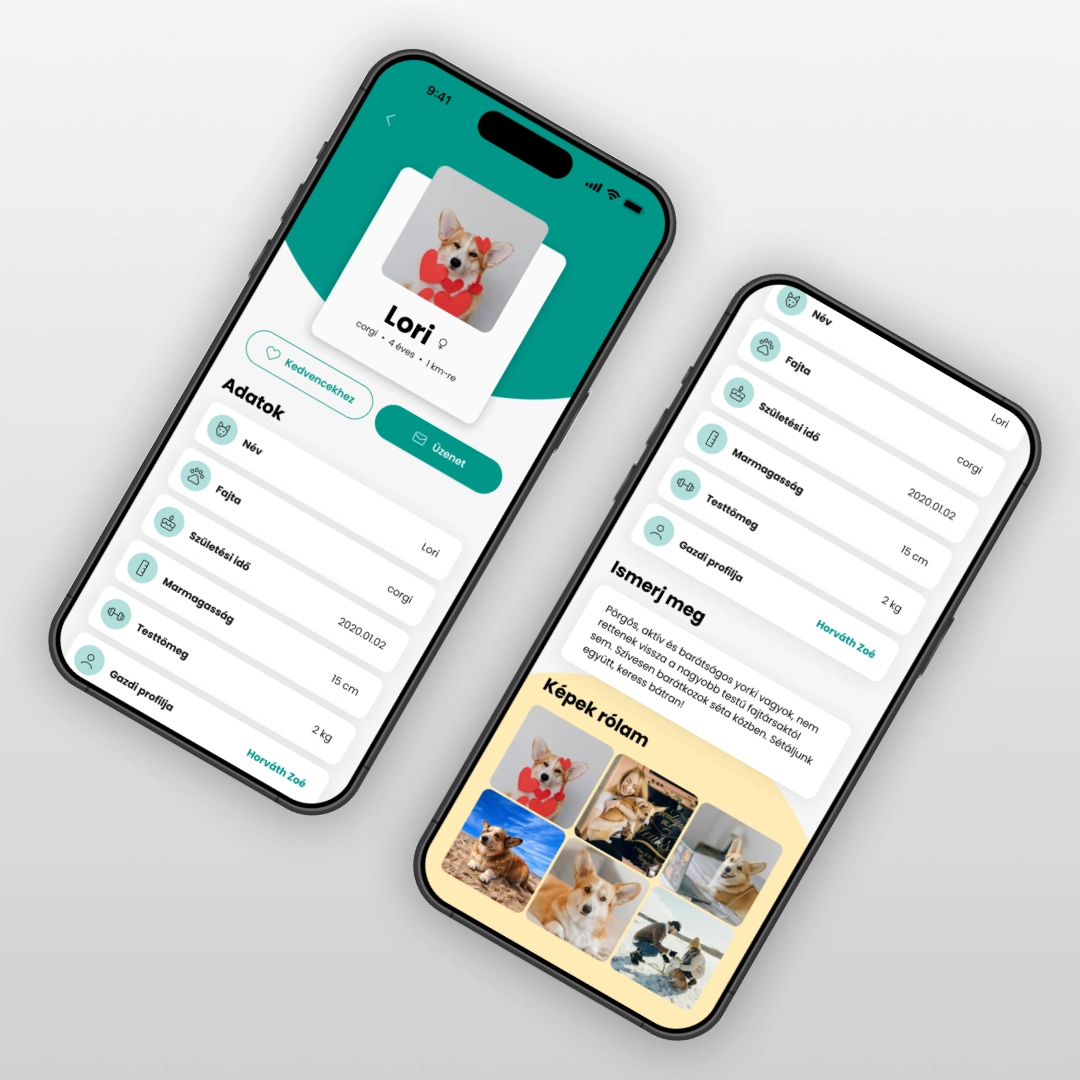 Pintér Noémi applikációterve a UX/UI Képzésről