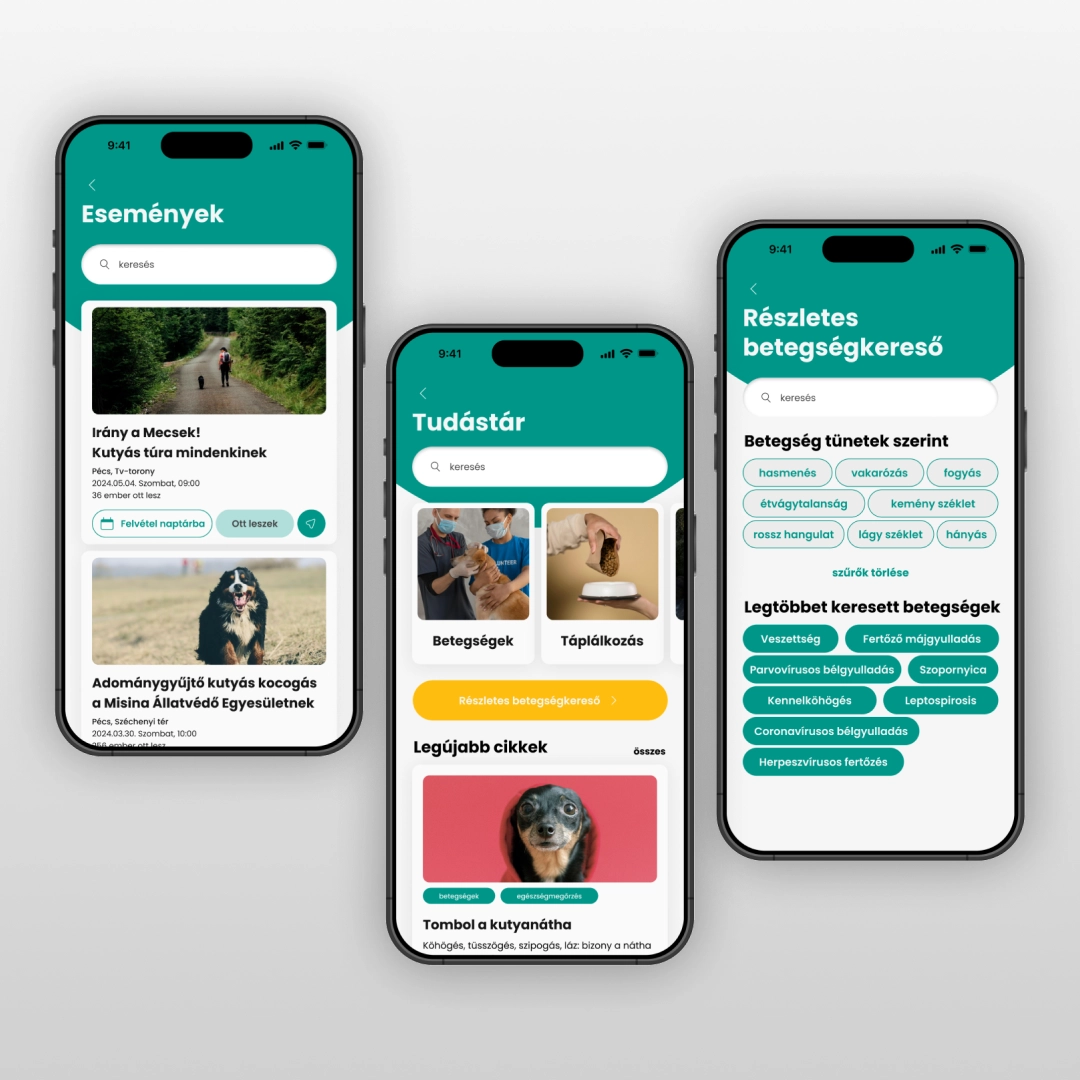 Pintér Noémi applikációterve a UX/UI Képzésről